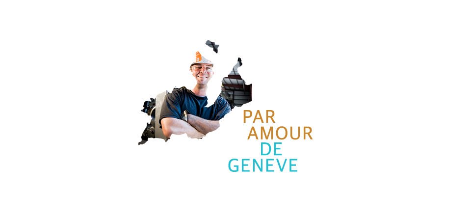 Branding pour une fusion de partis politiques 8 Déclinaison du branding