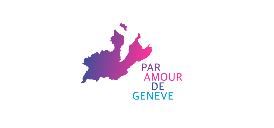 Branding pour une fusion de partis politiques 6 Declinaison du branding