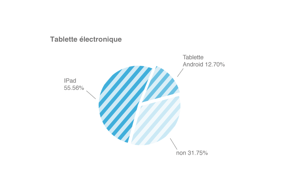 'Making of' du site internet d'Enigma 1 Statistiques du site internet