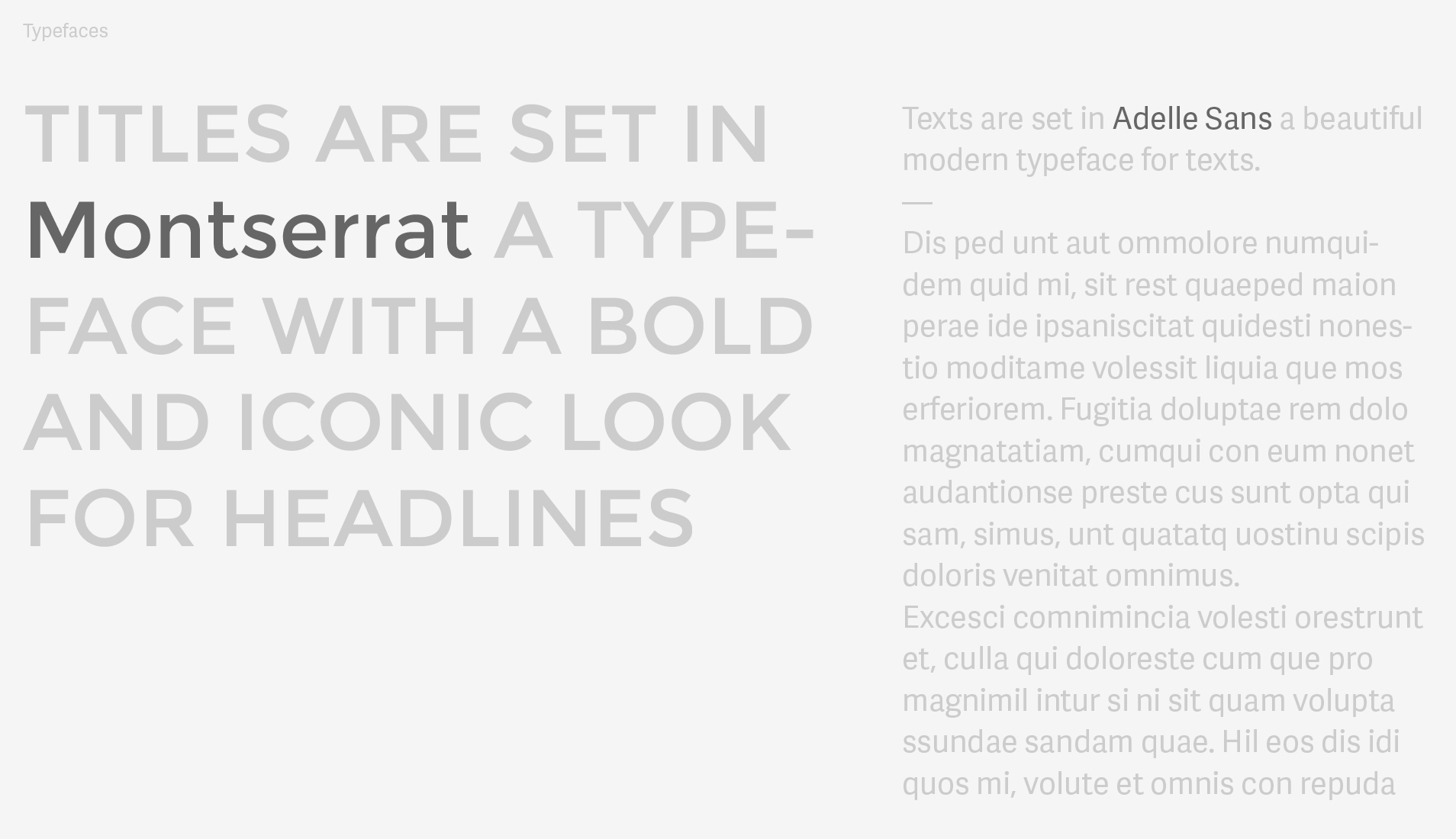 Transversal branding 8 Typographie utilisée