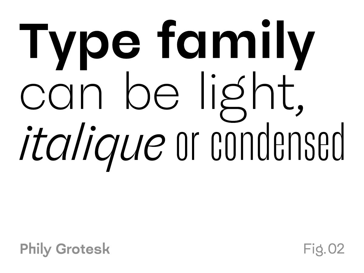 Type Design 4 What's a type family in Type Design?