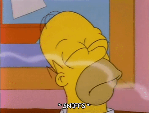 L’identité olfactive 2 2 smell simpson