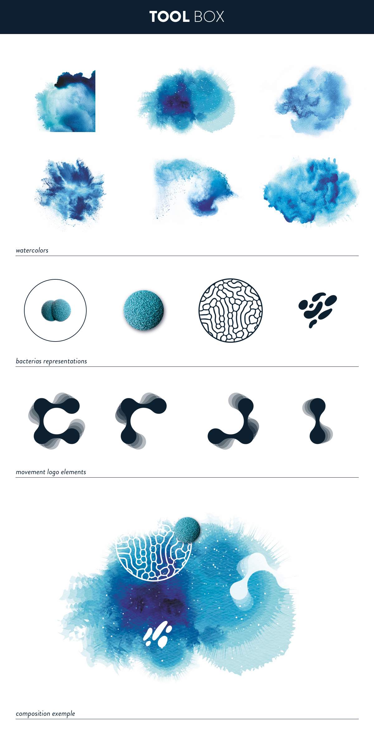 Rebranding & nouveau positionnement d'une ONG 4 gardp-branding-enigma