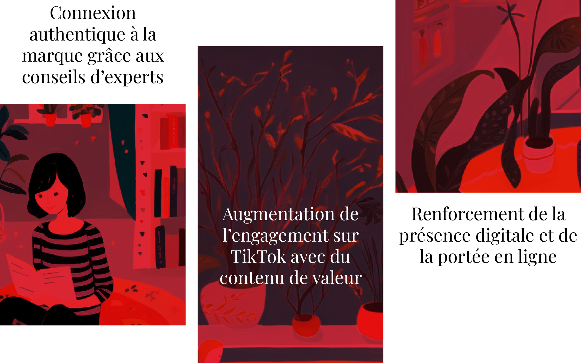 La littérature rencontre le TikTok 1 Case Studies2 lajoiedelire2